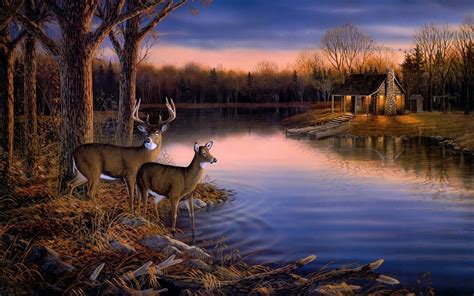 Serene Deer Twilight - HD Wallpaper