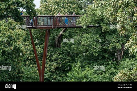 Tree Top Walkway - Kew Gardens Stock Photo - Alamy