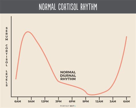 Adrenal Fatigue Morning Cortisol