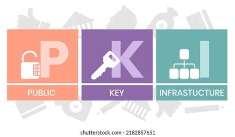 Pki Public Key Infrastructure Acronym Business Stock Vector (Royalty ...