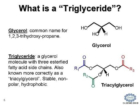 What is a Triglyceride [IMAGE] | EurekAlert! Science News Releases