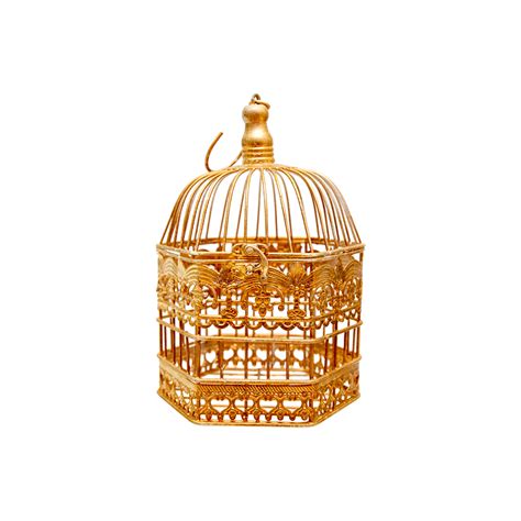 Bird Cage Gold