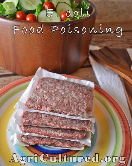 E. coli Food Poisoning - My Fearless Kitchen