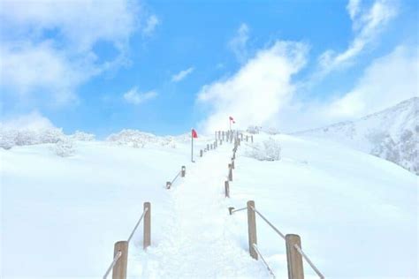 What To Do On Jeju Island In Winter: Jeju Winter Itinerary