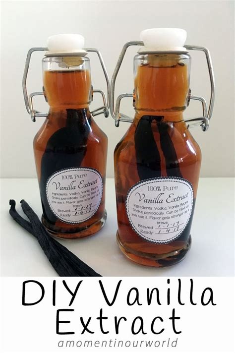 DIY Vanilla Extract | Recipe | Vanilla extract, Homemade vanilla ...