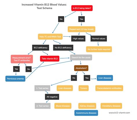 Vitamin B12 Test: High Blood Levels