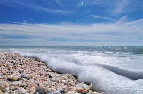 Tons of shells on Bowman's beach | Gregory Moine | Flickr