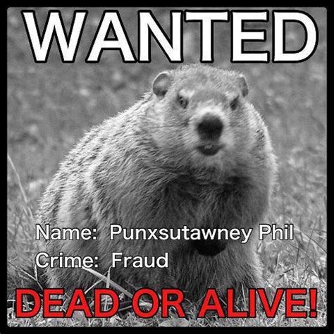 These Groundhog Punxsutawney Phil Memes Will Get You Through The Cold ...