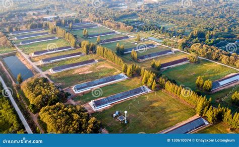 Animal Livestock Farm Housing in Rural Ranch Stock Photo - Image of bird, country: 130610074