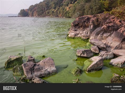 Serious Pollution Image & Photo (Free Trial) | Bigstock