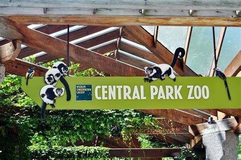 Central Park Zoo Tickets - Hellotickets