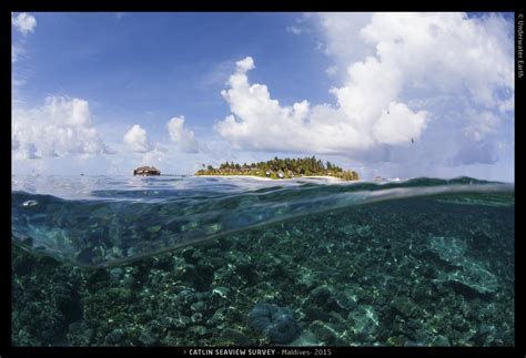 Coral Reefs in Maldives – maldivesclimate