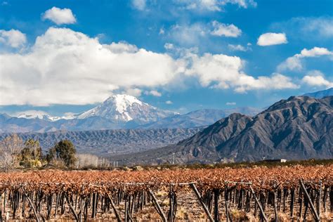 Elige los mejores tours de vino en Mendoza