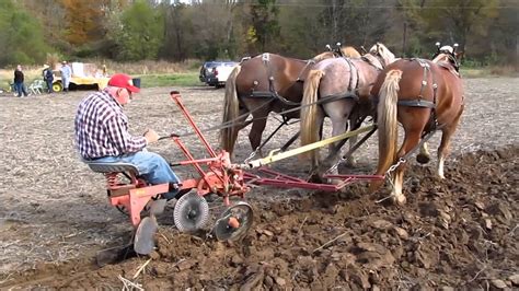 2015 Draft Horse & Mule Plow Day (full) - YouTube