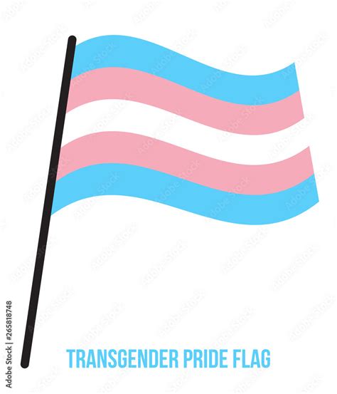 Transgender Pride Flag Waving Vector Illustration Designed with Correct ...