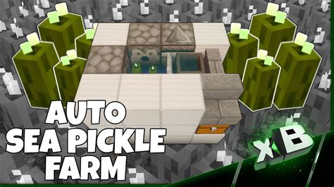 Aprender sobre 63+ imagem sea pickle farming minecraft - br.thptnganamst.edu.vn