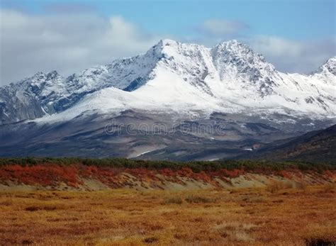 The Wildlife of Kamchatka. Kamchatka Mountains. Kamchatka Peninsula ...