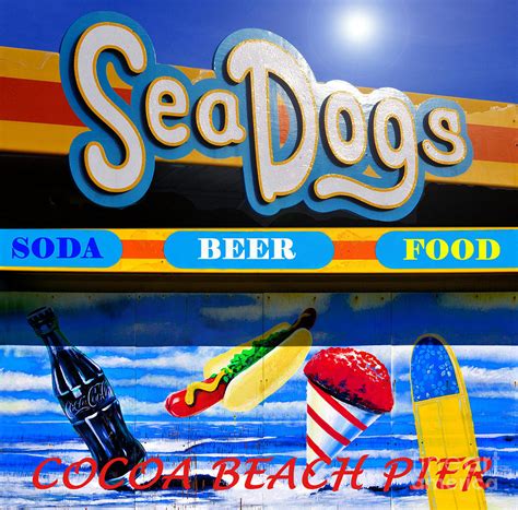 Sea Dogs Coca Beach Pier Mixed Media by David Lee Thompson - Pixels