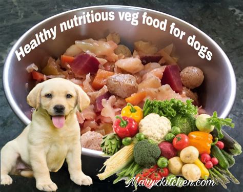 BEST NUTRITIOUS VEG PET DOG FOOD RECIPE - Mary's Kitchen