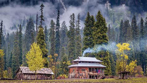 Top Reasons To Visit Kashmir in Autumn