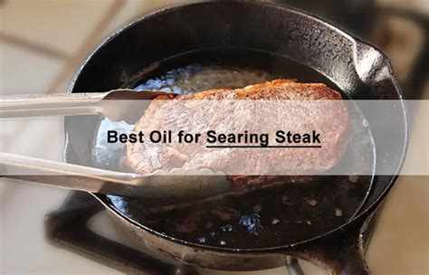 6 Best Oil for Searing Steak 2024 - Reviews After Testing