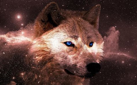 animal, galaxy wallpaper, wallpaper, universe, galaxy, space, astronomy ...