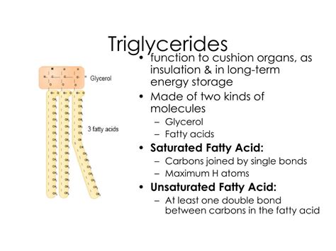 PPT - Lipids: Fats, Oils & Waxes PowerPoint Presentation, free download ...