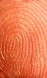 Palm reading basics: 20 facts about skin, fingerprints ...