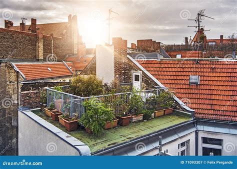 Small rooftop garden stock image. Image of gardener, concept - 71093307