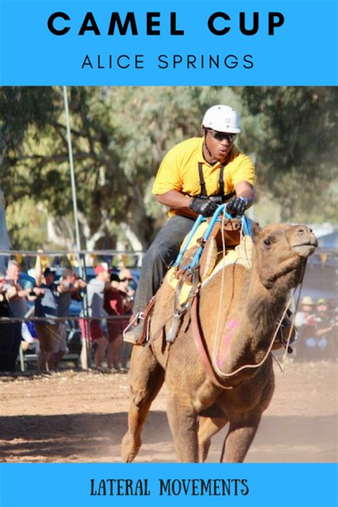 2017 Alice Springs Camel Cup in Photos | Lateral Movements