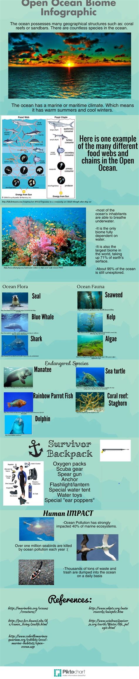 Infographic on Open Ocean Biome: Period 7- Harry Li, Tate Kier, Jeff Prowten, and Tarek Tariff ...