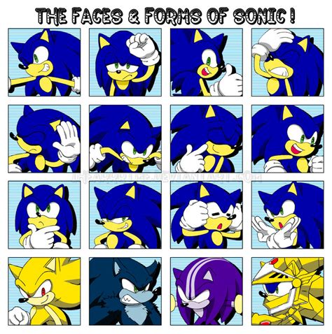 Faces & Forms Of Sonic :.: - sonic o ouriço fotografia (34959094) - fanpop