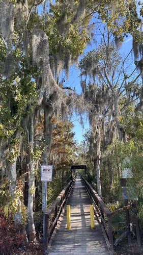 Best Hikes and Trails in Jean Lafitte National Historical Park and Preserve | AllTrails