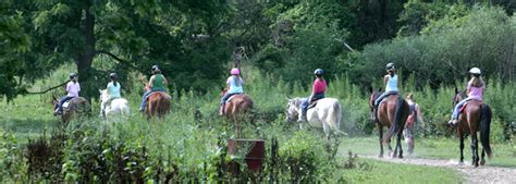 Top Horseback riding camps for 2024/2025