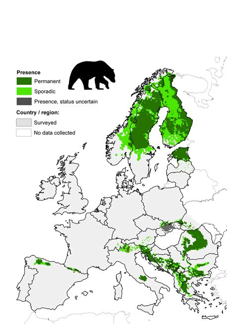 Large Carnivore Initiative for Europe > Large carnivores > Brown bear