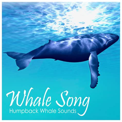 ‎Humpback Whale Sounds - Single by Whale Song on Apple Music