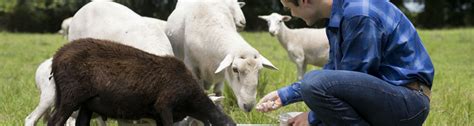 2019 Small Ruminants Production Conference - UF/IFAS Extension Marion County