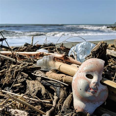 Plastic waste along remote beaches (Marinella di Sarzana, Italy). Photo... | Download Scientific ...