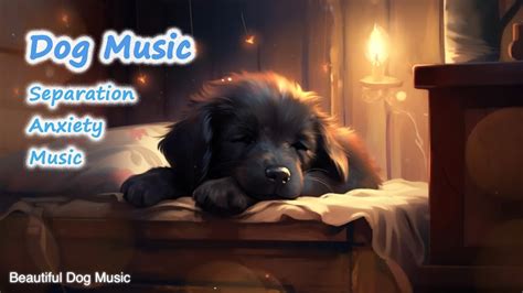 Music that gives dogs mental relaxation, dog music, relaxation sleep ...