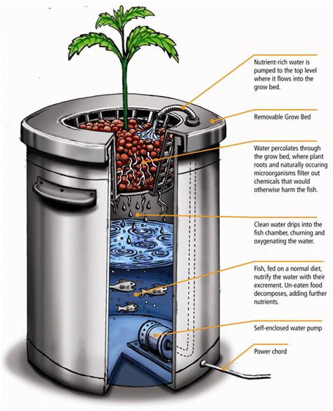 What Is A Growing Medium? (The COMPLETE Guide)