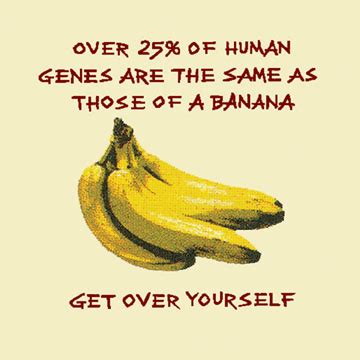 Banana Quotes. QuotesGram