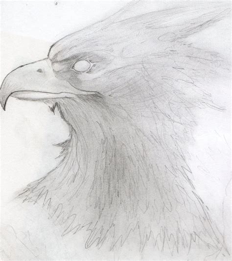 Phoenix Pencil Sketch by A-Fragile-Smile on DeviantArt