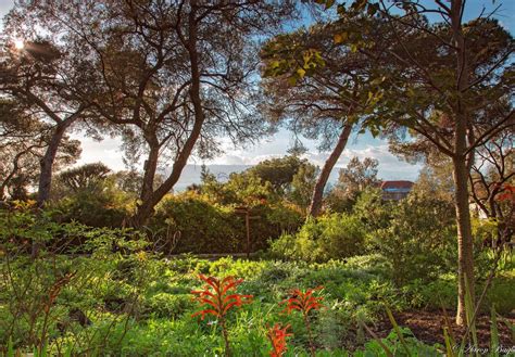 The Alameda - Gibraltar Botanic Gardens - Home