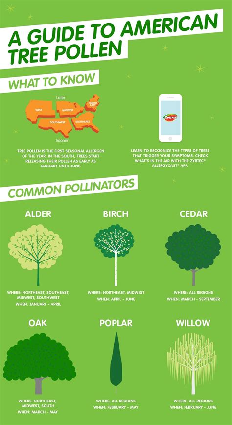 Pollen Food Allergy Chart