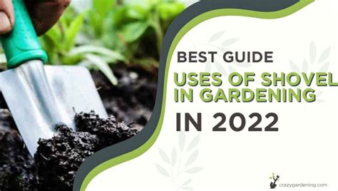 6 Different Types and Uses of Shovel in Gardening [Guide 2024] - PlantNative.org