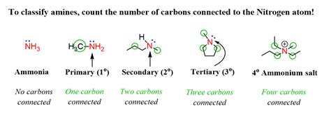 Primary, Secondary and Tertiary Amines | Chemistry, Organic chemistry ...