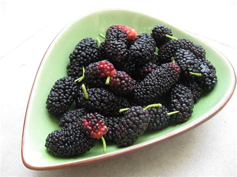 TOZALI: Amazing Health Benefits of Mulberries