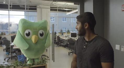 Duolingo’s Cute Owl Mascot Is a Ruthless, Terrifying Sociopath with Nothing to Lose – Media ...