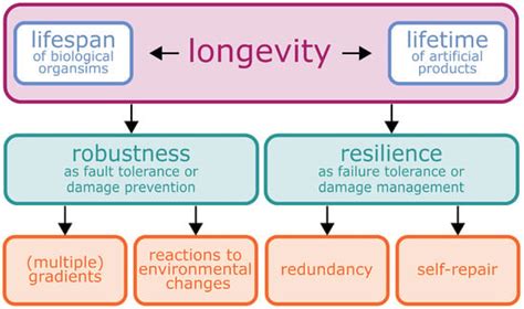 Biomimetics | Free Full-Text | Longevity of System Functions in Biology and Biomimetics: A ...