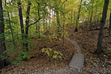 10 incredible hiking trails in and around Toronto